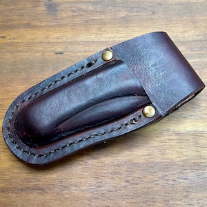 Buck 110 leather sheath