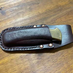Buck 110 leather sheath