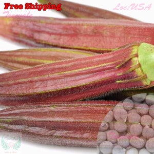 Red Burgundy Okra SEEDS | Red Velvet Okra, Royal Burgundy Okra SEEDS | Non-GMO, Organic | Treevales