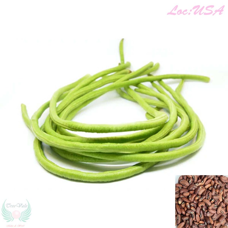 Seeds Yardlong Bean, Asparagus Bean, Snake Bean, Chinese Long Bean Seeds Free Shipping image 1