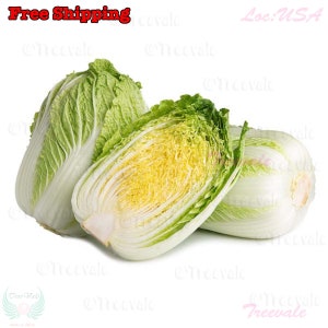 Napa Cabbage, Kimchi Cabbage, Chinese Cabbage, Dàbáicài SEEDS | Non-GMO, Organic | Treevales