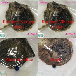 Akoya Oyster With 7mm-9mm Pearl(s) -  Individually Wrapped