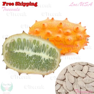 May include: A halved kiwano melon, also known as horned melon, with a bright orange exterior and green interior. The seeds are visible in the cut melon. A pile of light brown kiwano melon seeds are also shown.