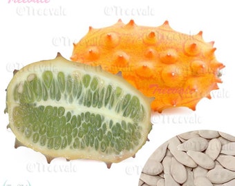 Kiwano Jelly Melon-Long , Horned Melon, African Horned Cucumber, Gakachika SEEDS | Non-GMO, Organic | Treevales