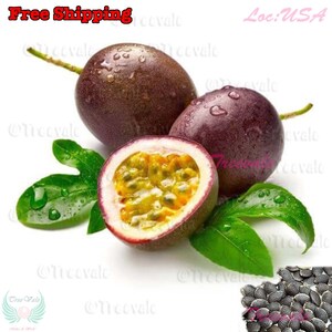 May include: Close-up of three passion fruit, one cut open to reveal the yellow seeds inside. The fruit are purple and have a glossy finish. A pile of passion fruit seeds are shown in the lower right corner of the image.