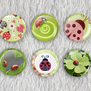 May include: A set of six circular pins featuring ladybug designs. The patterns include ladybugs on green leaves, a ladybug on a spiral, a stylized pink ladybug, ladybugs on a heart-shaped leaf, a central ladybug icon, and a ladybug on a clover.