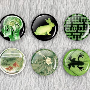 May include: Set of six round button pins with various designs. Includes a green brain scan, a neon green rabbit, a binary code pattern, a fishbowl with goldfish, a circuit board, and a frog silhouette on a leaf.