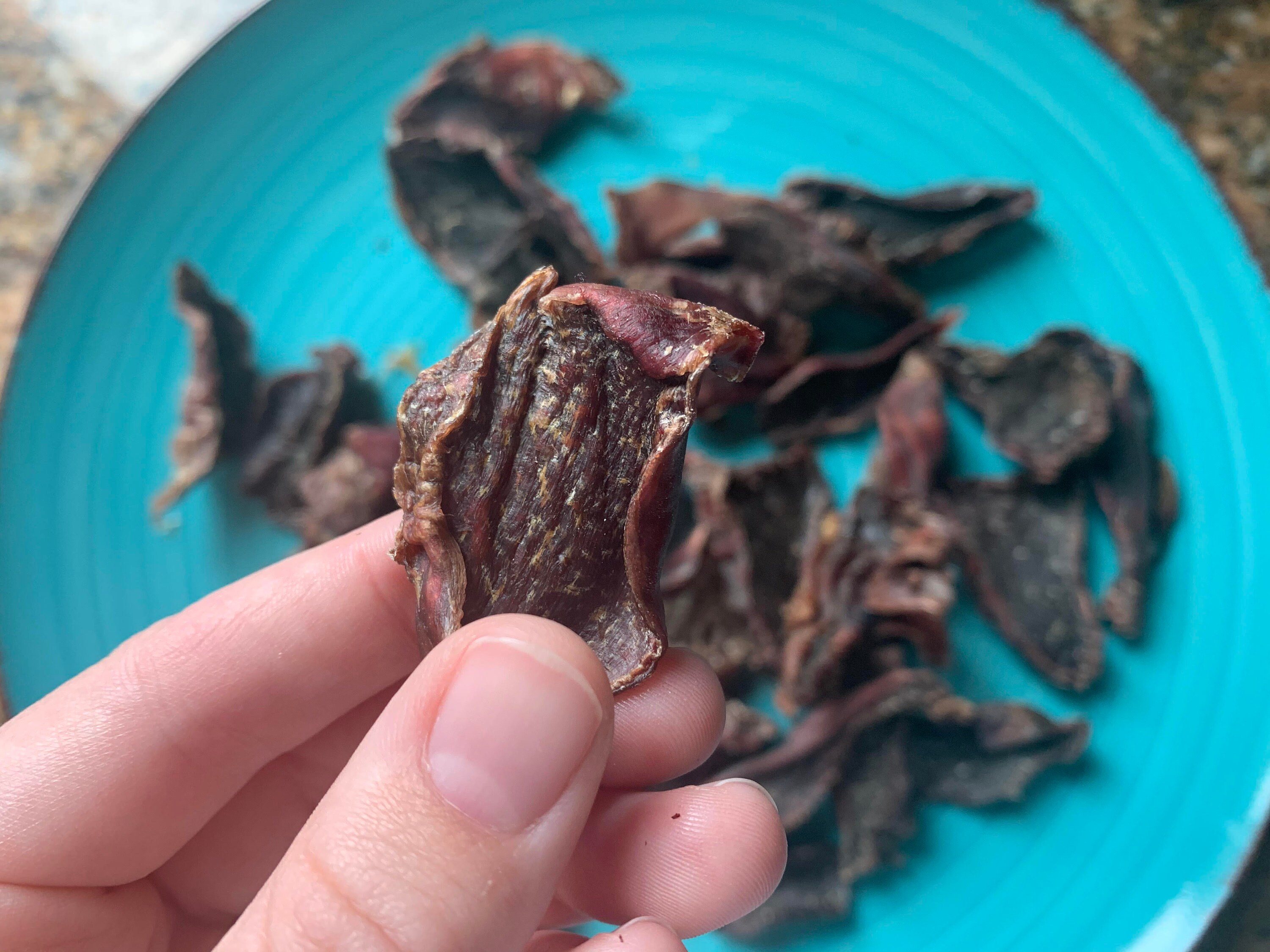Raw Dehydrated Turkey Gizzard Treats Etsy