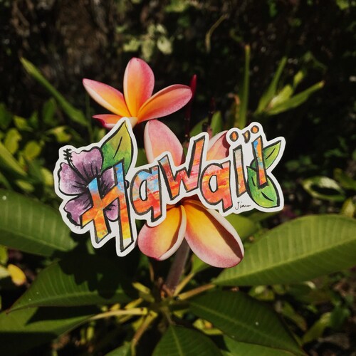 Hawaii Vinyl Sticker / Cool Hawaii Travel Sticker / Water | Etsy