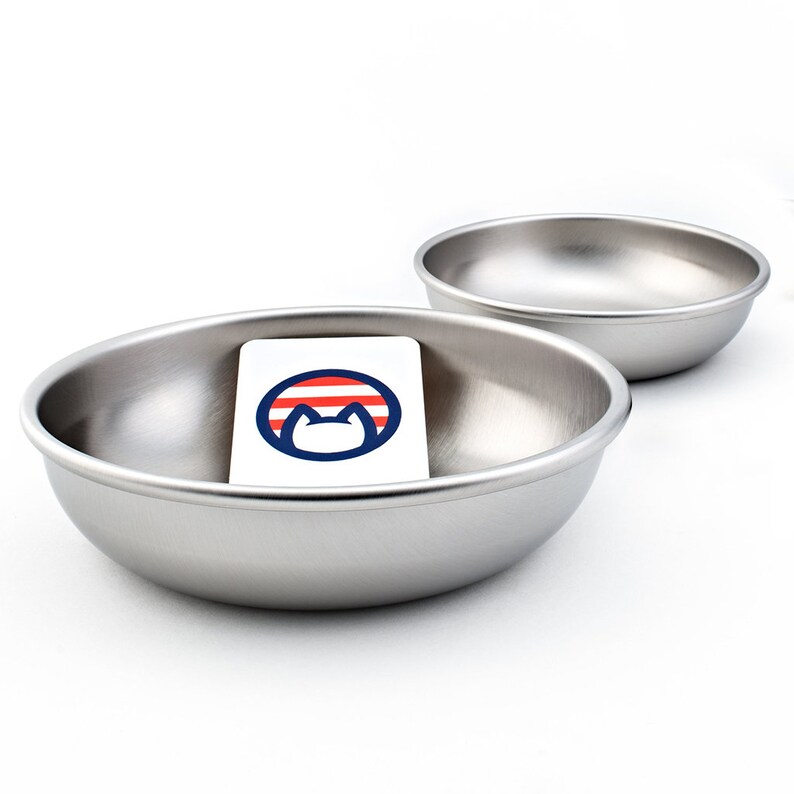 Set of 2 Stainless Steel Made in the USA Cat Bowls for Food Etsy
