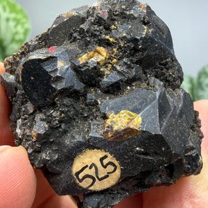 Sphalerite (Ruby Jack)- Joplin, Tri-State District, Missouri, USA