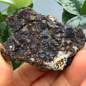 Puede incluir: Un espécimen mineral en bruto que presenta estructuras cristalinas de color marrón oscuro y negro con una textura rugosa y dentada. Una pequeña pegatina blanca circular está adherida en la parte inferior derecha, mostrando el número 399 escrito en negro.