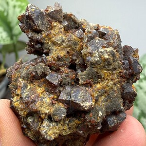 Sphalerite (Ruby Jack)- Tri-State District, Missouri, USA