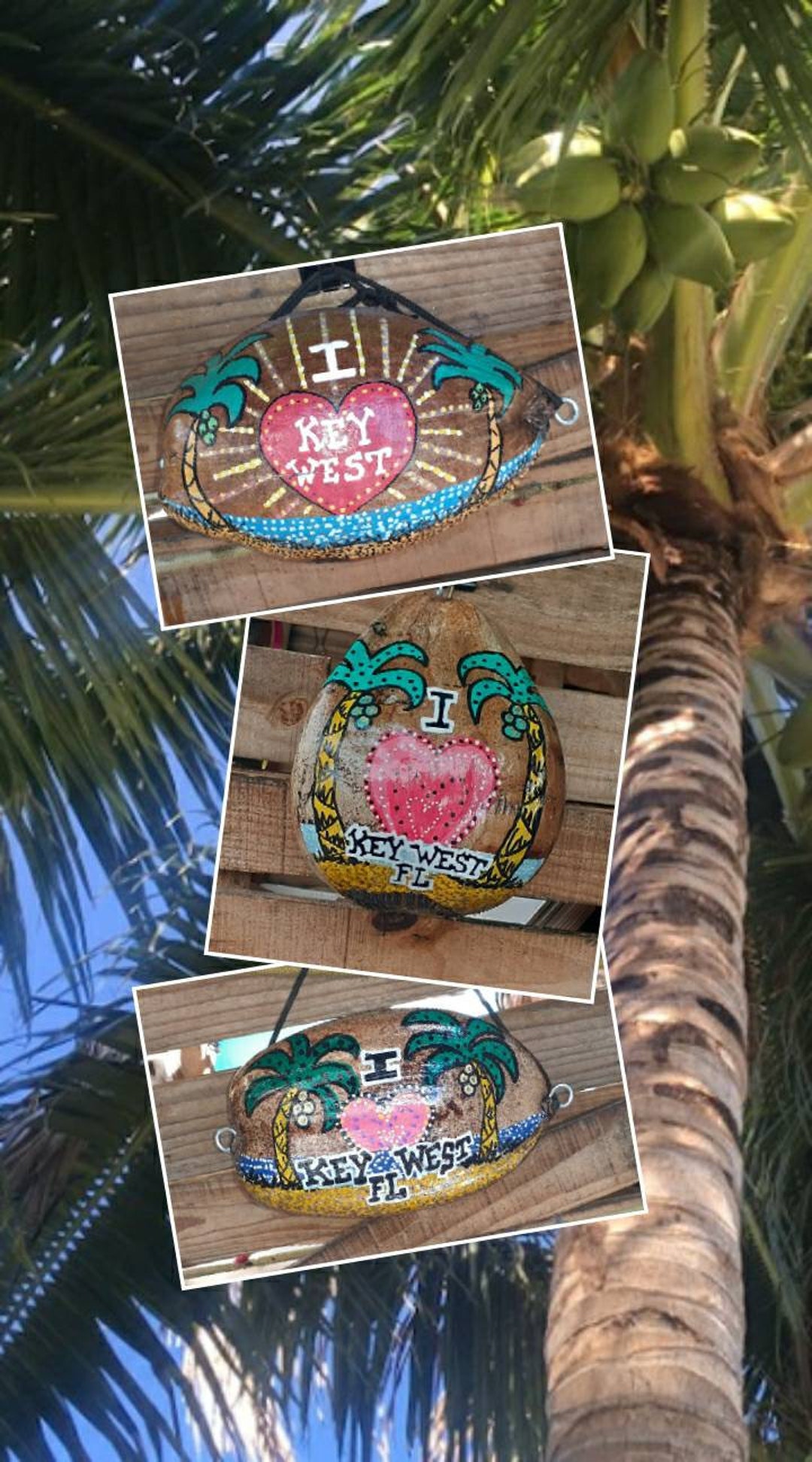 Hand Painted I LUV KEY WEST Coconuts Etsy