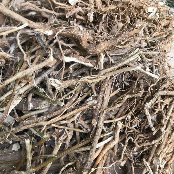 Guinea Hen Weed Root dried roots and branches, Petiveria alliacea harvested in Jamaica