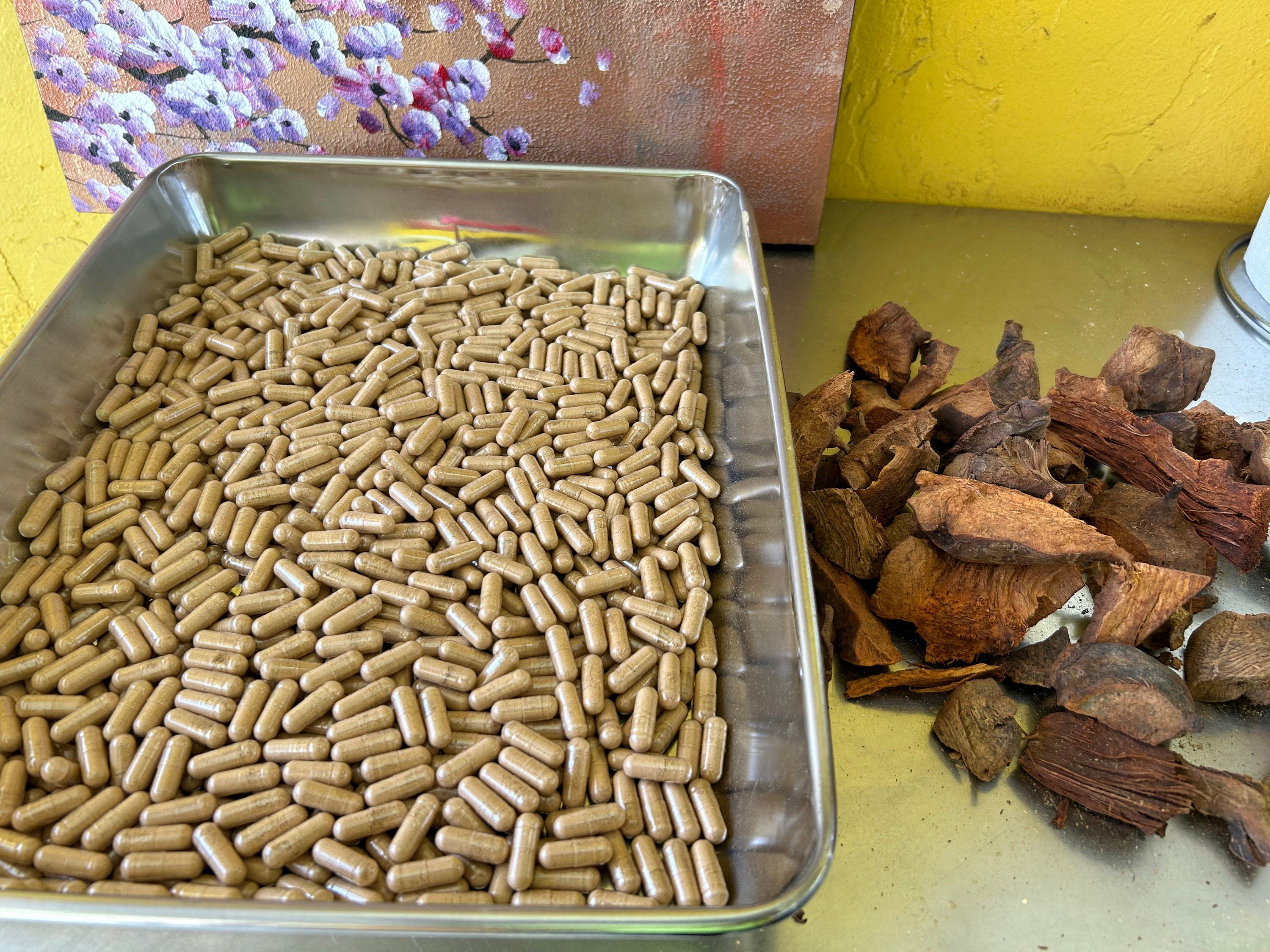 Jamaican Chaney Root Capsules: Wildcrafted Alkaline Herbs in Vegetarian ...
