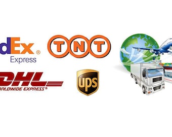 Express Shipping Cost