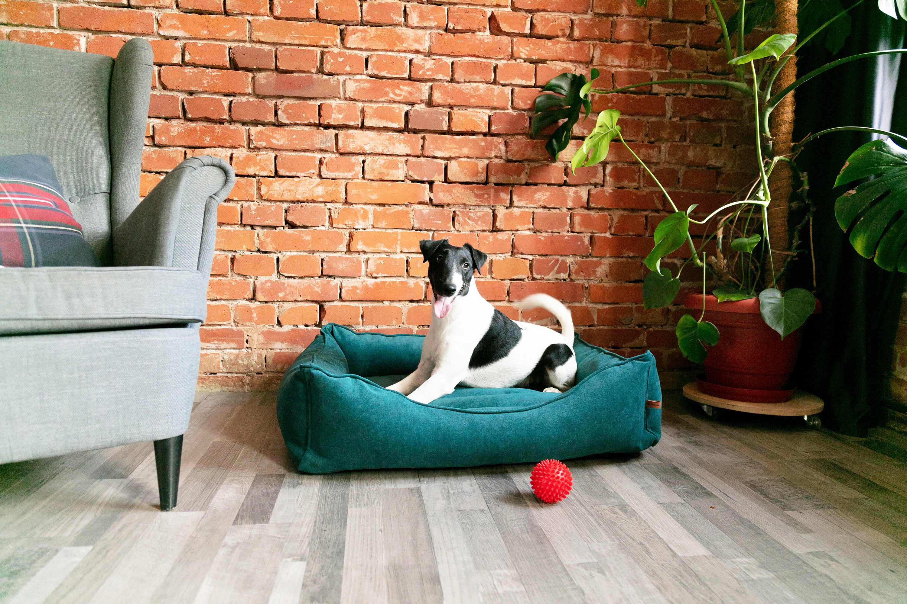 Green dog bed Best dog beds Medim pet bed Puppy bed Etsy