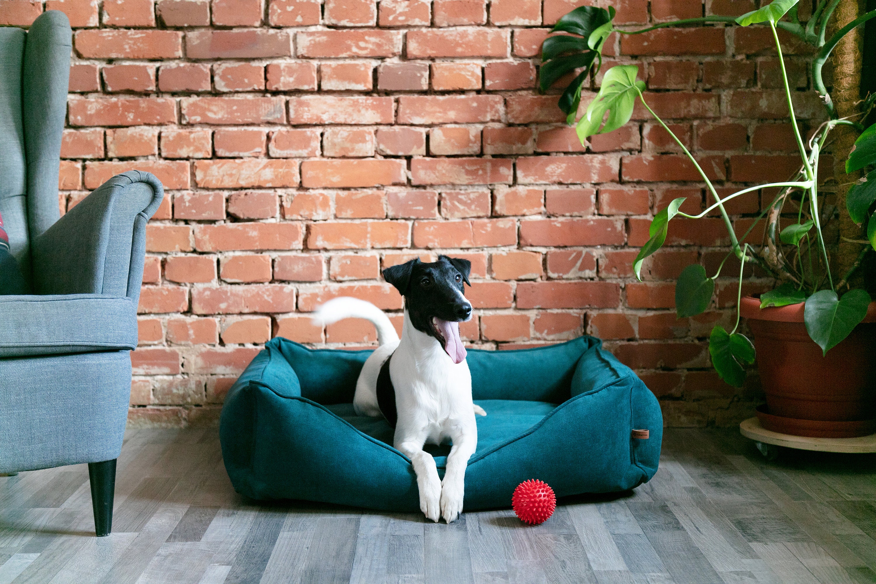 Green dog bed Best dog beds Medim pet bed Puppy bed Etsy