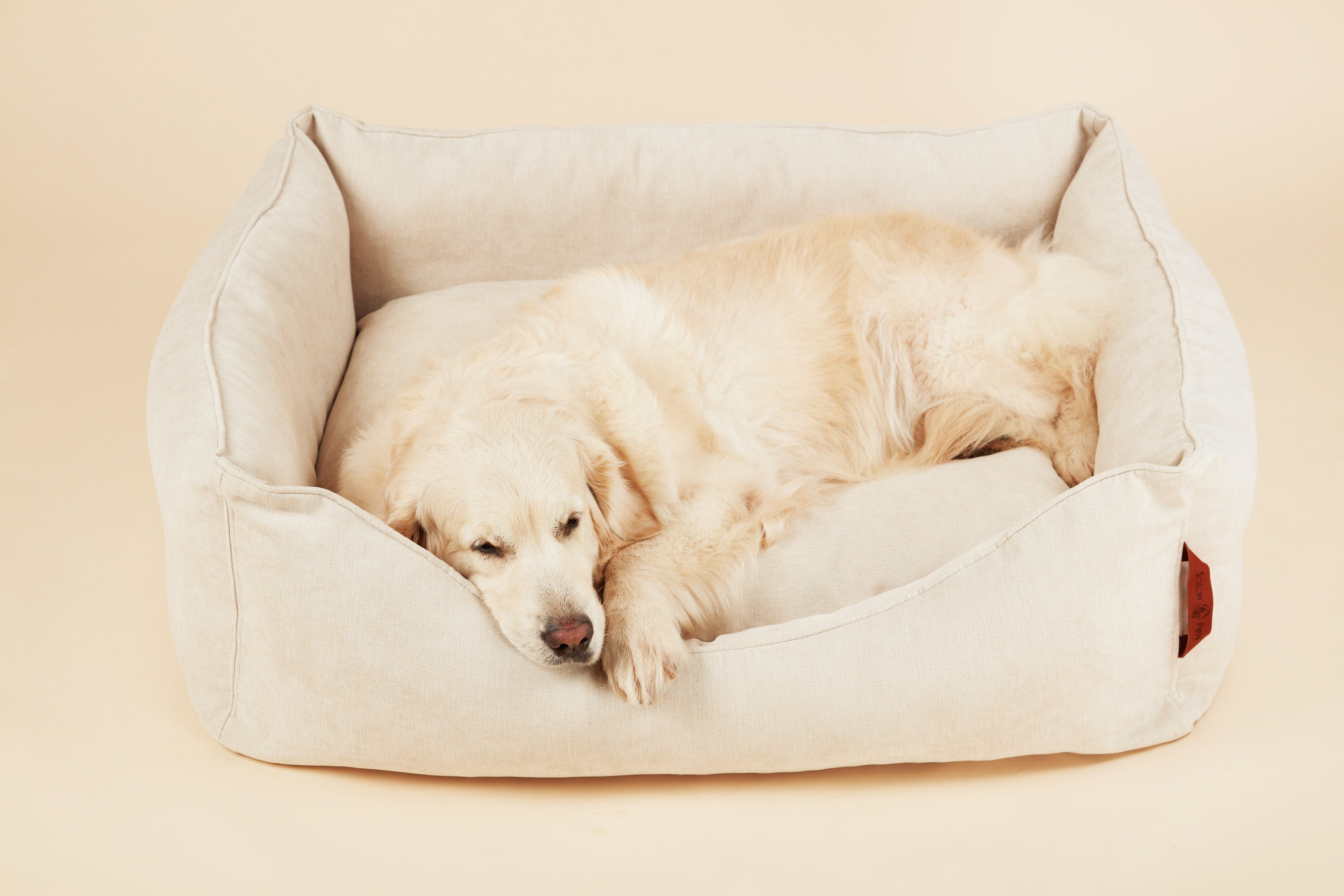 White Dog Bed With Removable Cover and High Sides for Small Etsy