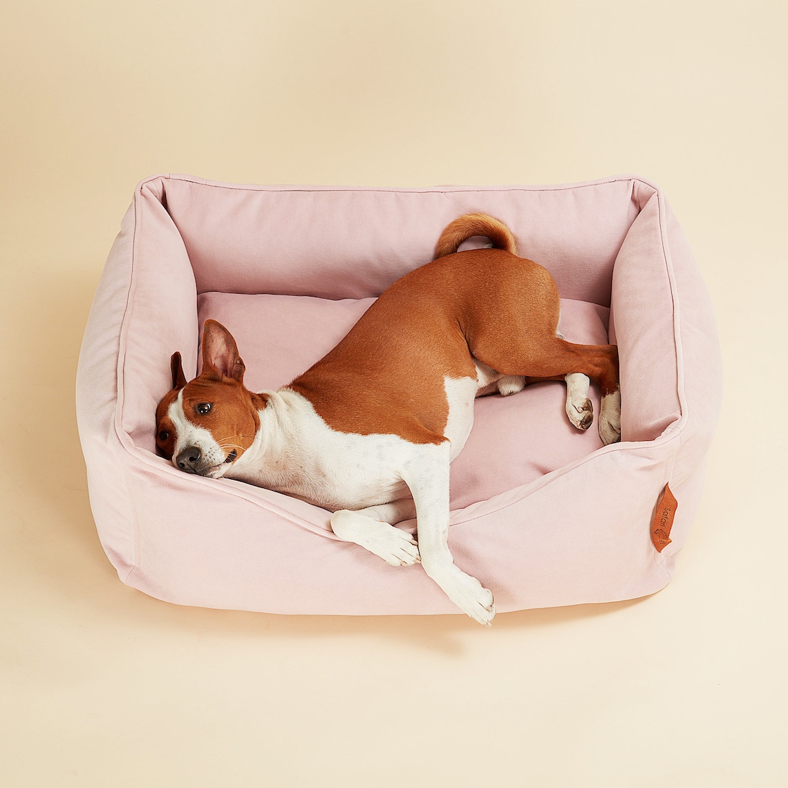 Pink dog bed for a comfortable sleep with anatomical pillow. Etsy