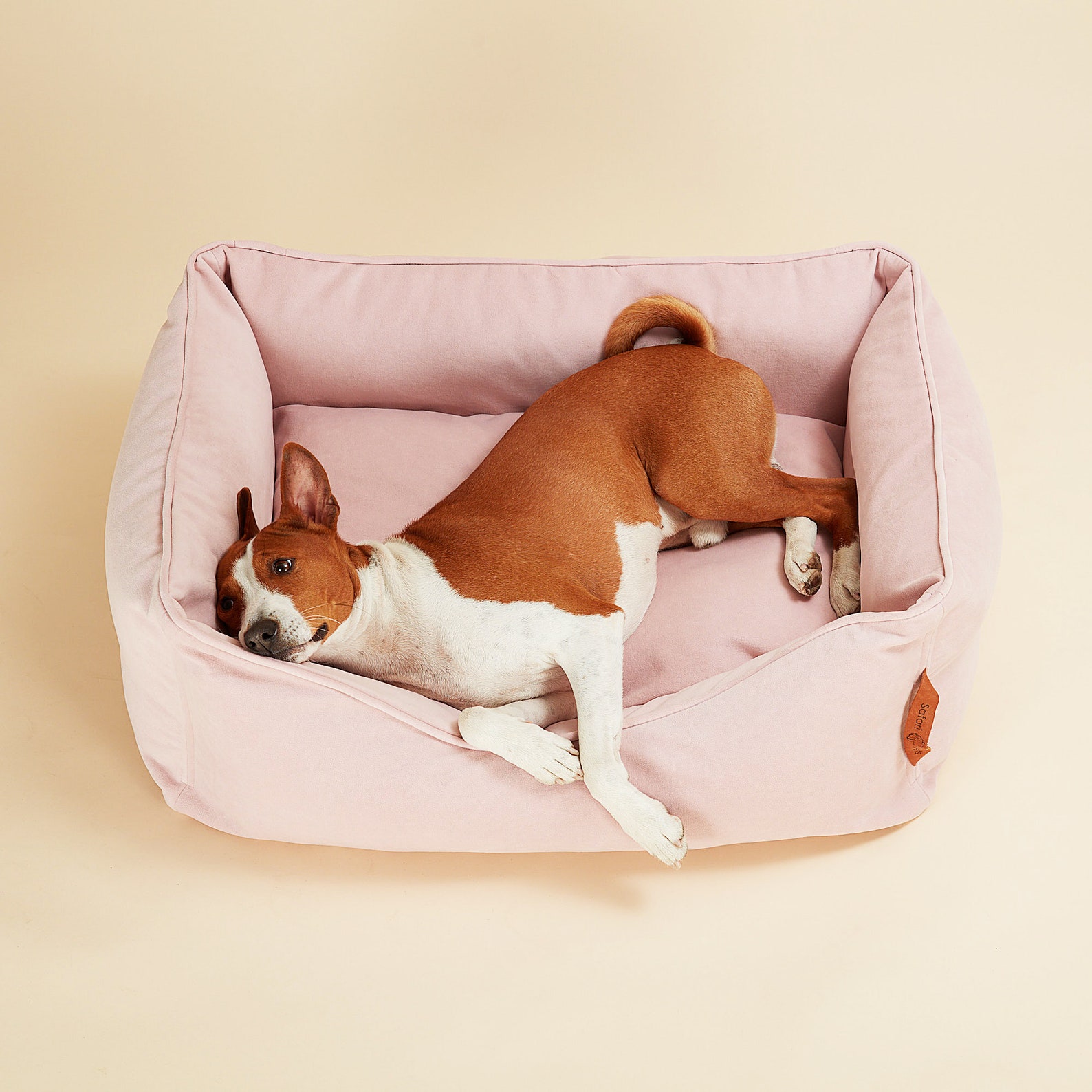 Pink dog bed for a comfortable sleep with anatomical pillow. Etsy