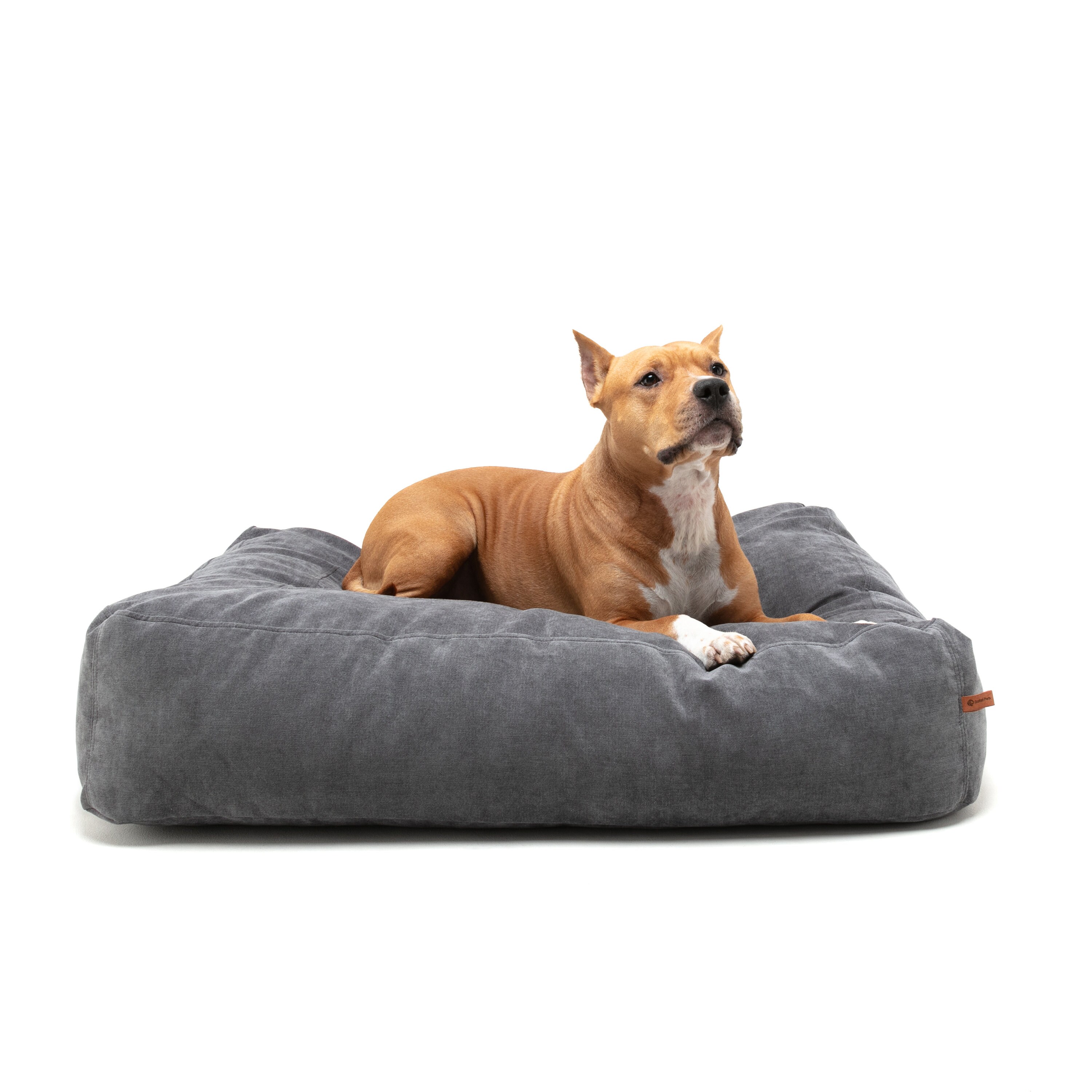 super durable dog bed