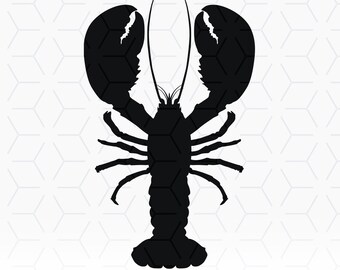 Lobster Svg File Etsy