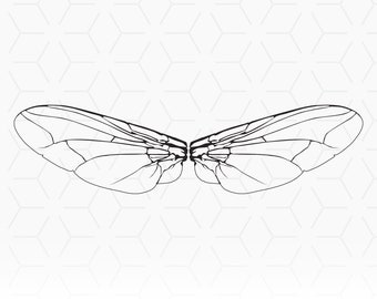 Insect Wings SVG for cutting and printing, Insect Wings  SVG Stencil, Insect Wings  Clip Art, Cricut SVG Stencil, Cricut File