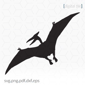 Pterodactyl PNG, Vector, PSD, and Clipart With Transparent Background for  Free Download