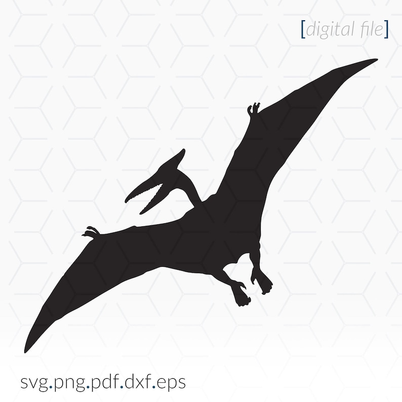Pterodactyl SVG File for Cricut and Cutting Machines Dinosaur - Etsy