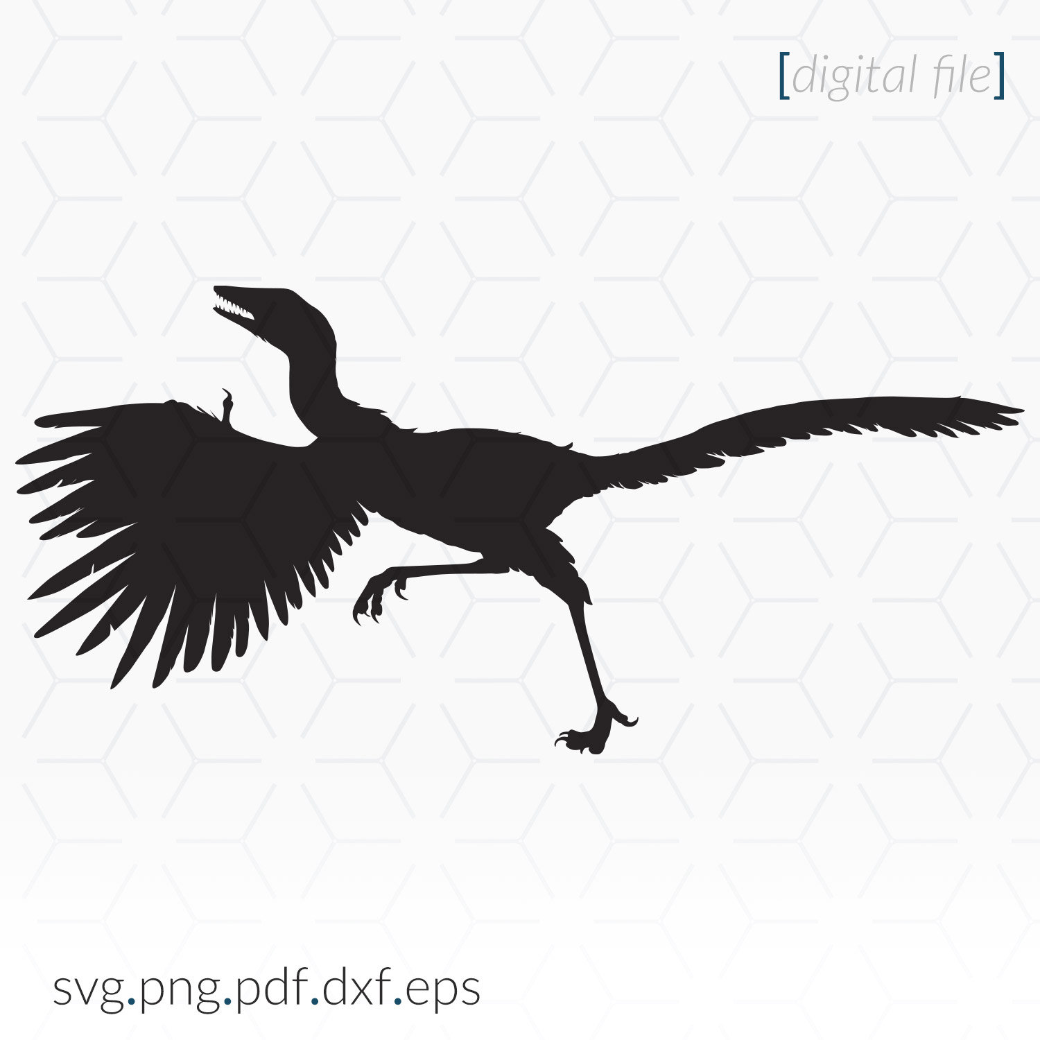 Archaeopteryx Dinosaur Silhouette SVG for Cricut (digital File) - Etsy