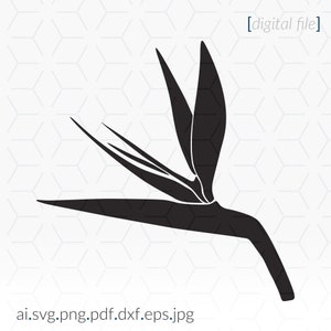 Strelitzia SVG file for printing, Cricut and cutting machines
