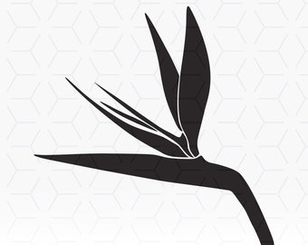 Strelitzia SVG file for printing, Cricut and cutting machines
