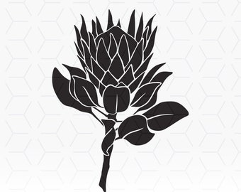 Protea Flower SVG Stencil: Cricut Cut File (Digital Download)