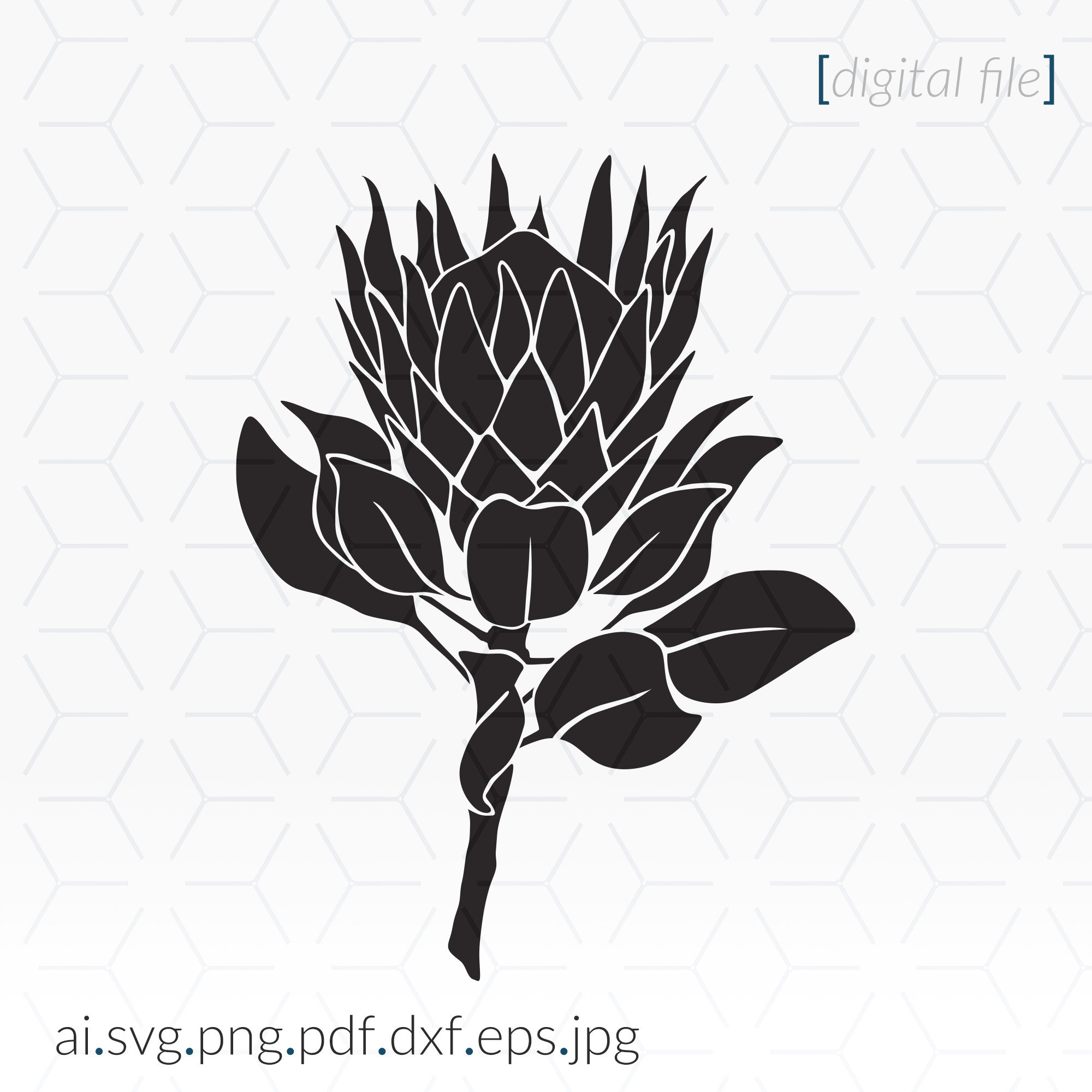 Protea SVG for cutting and printing Flower SVG Stencil Etsy
