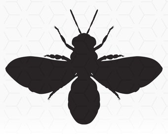 Bumble Bee Stencil SVG for cutting and printing projects