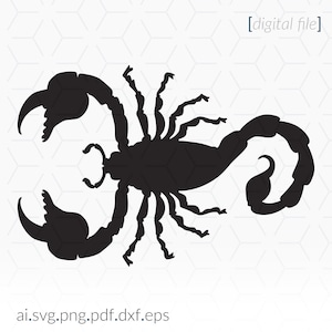Scorpion SVG, Scorpion SVG, Scorpion Clip Art, Cricut SVG File, Cricut File, Scorpion Silhouette Stencil