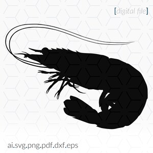 Prawn SVG file for cutting machines, Prawn Silhouette, Prawn Clip Art, Cricut SVG File, Cricut Stencil
