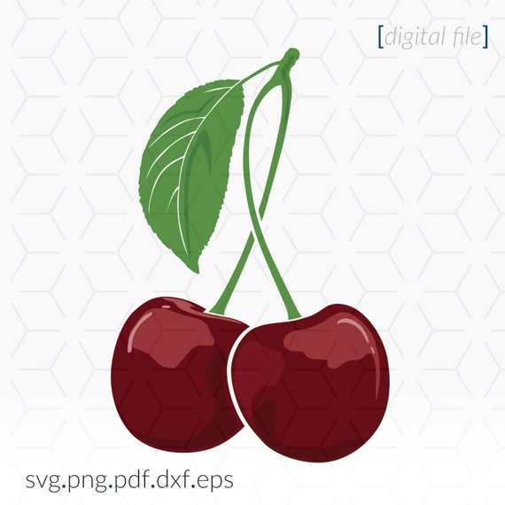 Download Cherry Layered Svg Cherry Clipart Svg File Cherry Cricut Svg Etsy