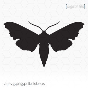 Moth SVG for cutting and printing, Moth SVG Stencil, Moth Clip Art, Cricut SVG Stencil, Cricut File, Moth svg