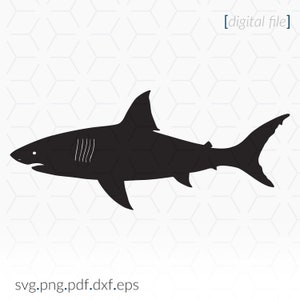 Shark Silhouette SVG file for Cricut and cutting machines, Shark SVG, Shark Clip Art, Cricut SVG File, Shark Silhouette