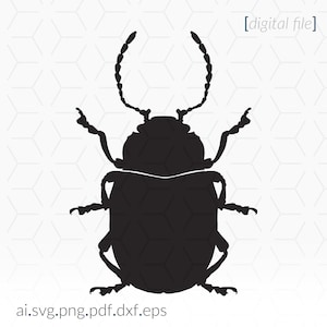 Beetle SVG for cutting and printing, Beetle SVG Stencil, Beetle Clip Art, Cricut SVG Stencil, Cricut File, Beetle svg