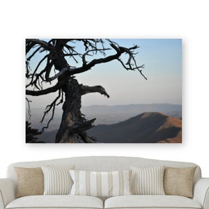 DIGITAL DOWNLOAD Tree Silhouette in the Mountains Photography Print || Boho, Landscape Photography, Western NC, Wintertime, Winter Photo
