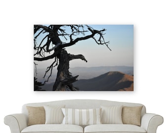 デジタルダウンロード 山の中の木のシルエットの写真プリント || ボヘミアン、風景写真、ノースカロライナ州西部、冬、冬の写真