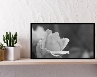 デジタルダウンロード 白黒バラの写真プリント || バラ、アートプリント、マクロ写真、白黒、アート、上品な写真、クラシック