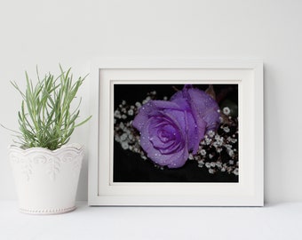 Purple Rose - Art Printable - Landscape - Digital Photo - Digital Download - Instant Download - Wall Art - Photography