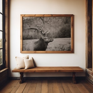 Elk Photo Photography Digital Photo Nature Art Printable Digital Download Instant Download Wall Art