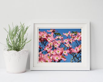 Fiori di corniolo rosa in primavera - Arte stampabile - Paesaggio - Foto digitale - Download digitale - Download istantaneo - Arte murale - Fotografia