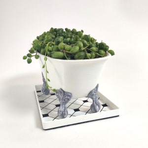 May include: A white ceramic bathtub planter with a green succulent plant. The planter has four decorative feet and is sitting on a black and white tiled tray.
